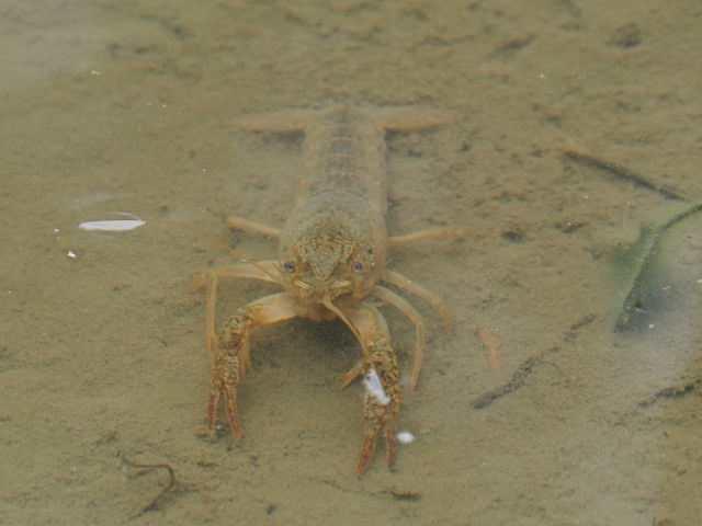 塗炭の苦しみのイメージ写真