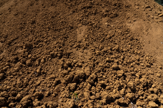 塗炭の苦しみのイメージ写真