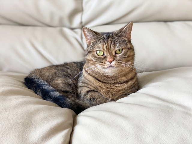 背徳感のイメージ写真