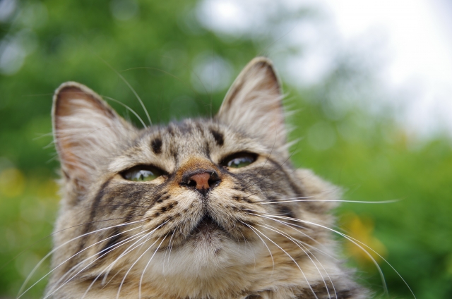 おこがましいのイメージ写真