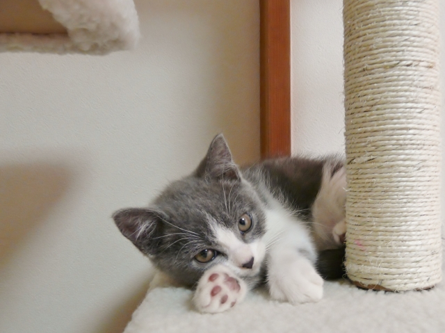 おこがましいのイメージ写真