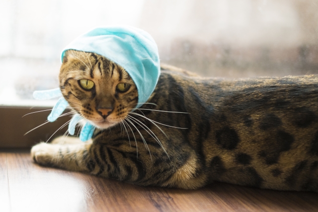 おこがましいのイメージ写真