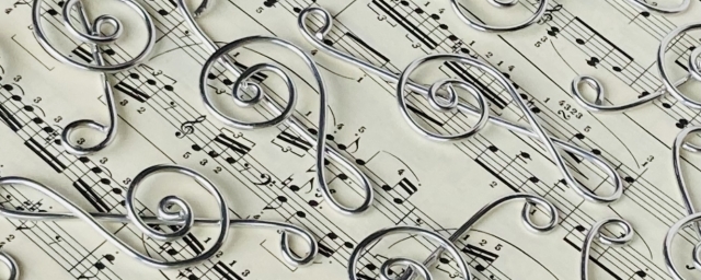 セトリのイメージ写真