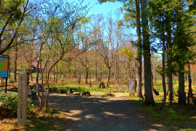 ひるがの分水嶺公園の写真画像