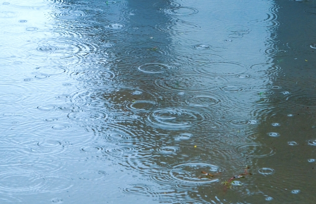 遣らずの雨のイメージ写真