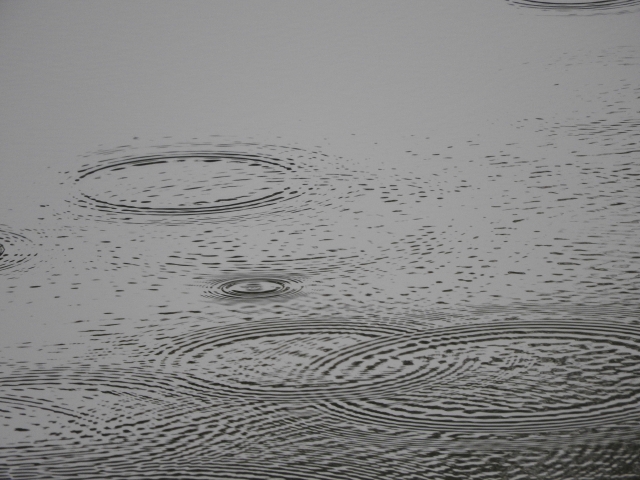 遣らずの雨のイメージ写真