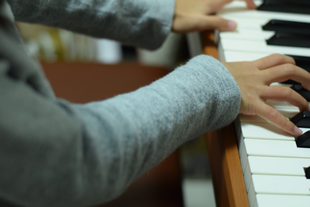 セトリのイメージ写真