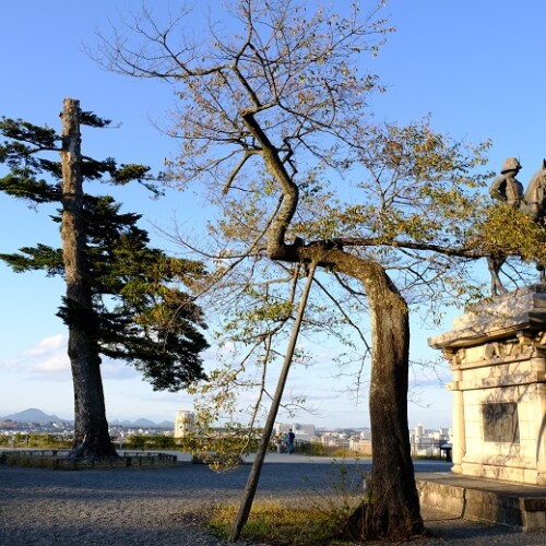 仙台城址公園の風景写真
