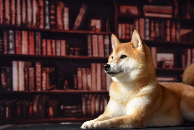 天賦の才のイメージ写真