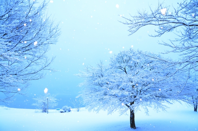 冬の季節写真
