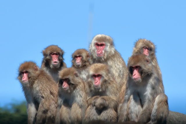 得て不得手のイメージ写真