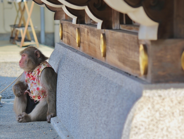 得て不得手のイメージ写真