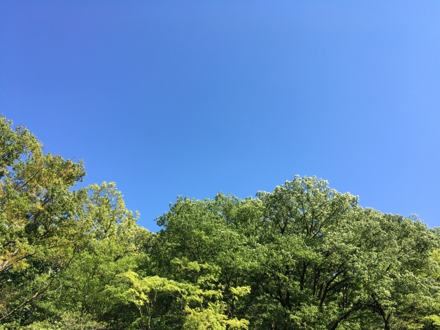 青天の霹靂のイメージ写真