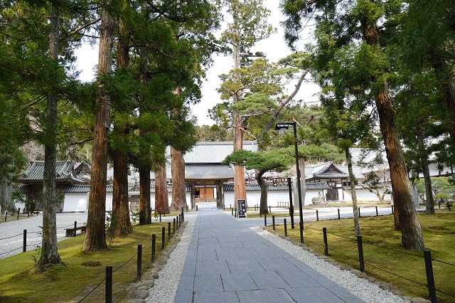 松島瑞巌寺の夏の風景写真