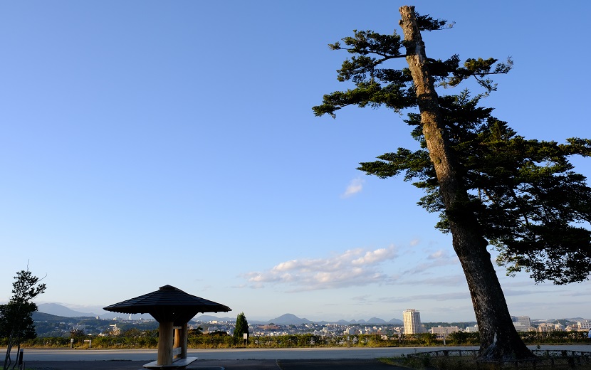 仙台城址公園の写真