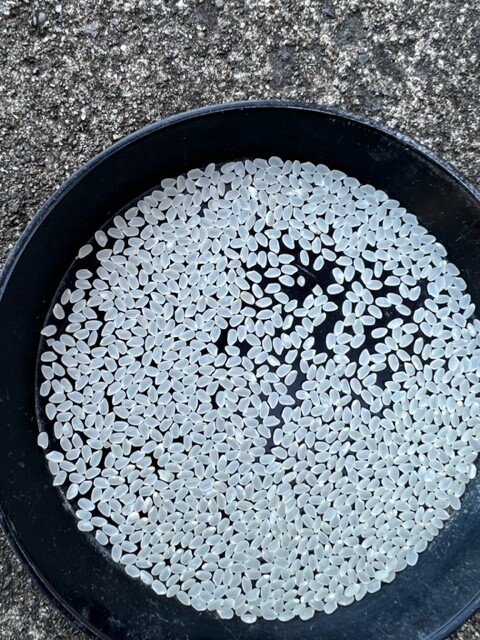 ひとめぼれの精米時の写真