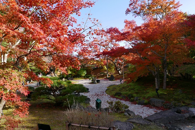 松島円通院の紅葉の写真