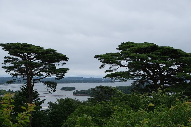 松島西行戻しの松公園から福浦橋を望む写真