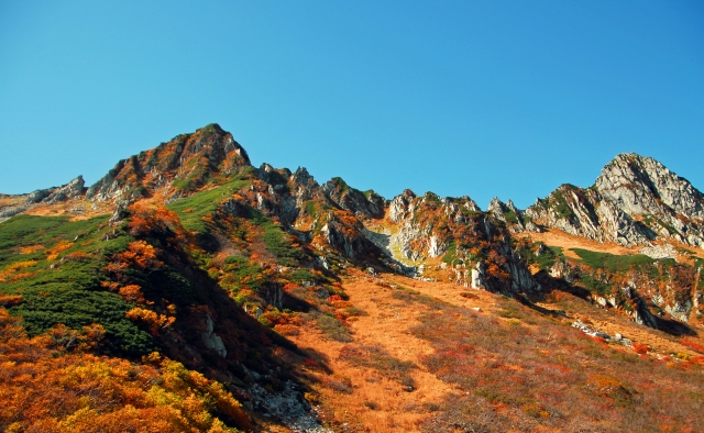 一日千秋のイメージ写真