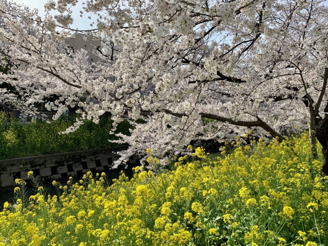 虻蜂取らずのイメージ写真