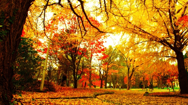 一日千秋のイメージ写真