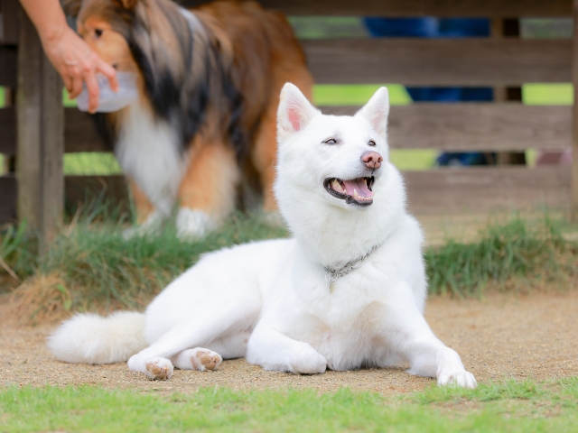 一を聞いて十を知る