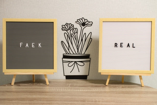 嘘800のイメージ写真