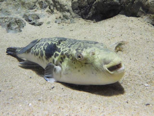 「君子危うきに近寄らず」のイメージ写真
