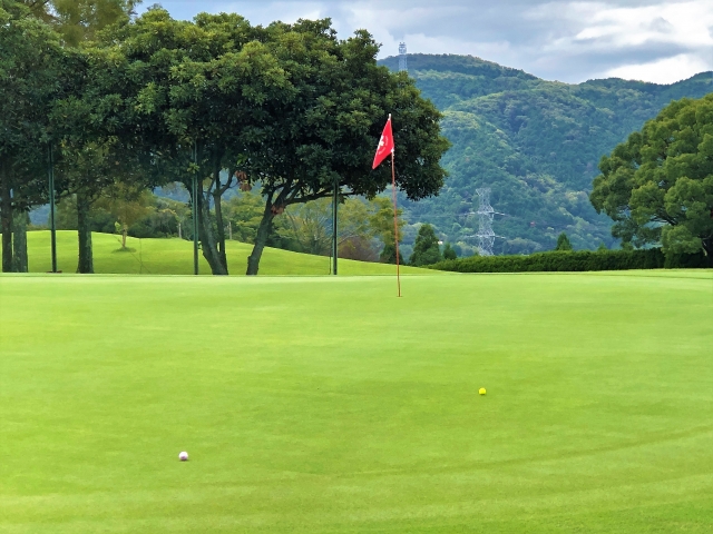 魚心あれば水心のイメージ写真