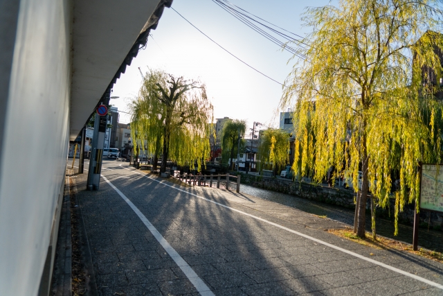 「柳に風」のイメージ写真