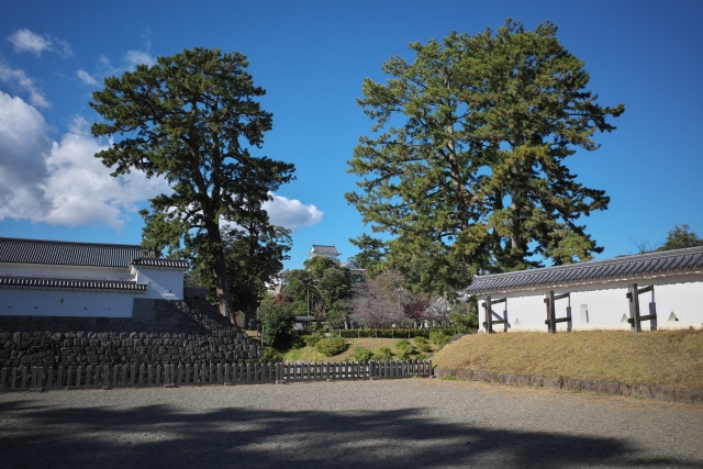 小田原城の写真