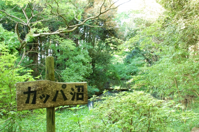 もののけのイメージ写真