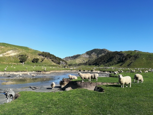 罪を憎んで人を憎まずのイメージ写真