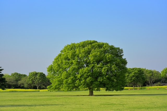 罪を憎んで人を憎まずのイメージ写真