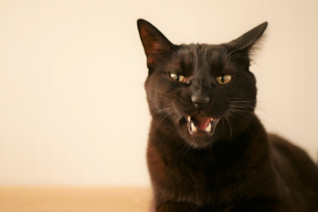 呆気にとられるイメージ写真