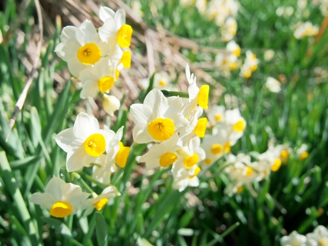 三寒四温のイメージ写真