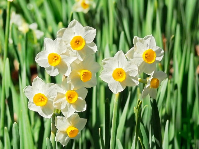 三寒四温のイメージ写真