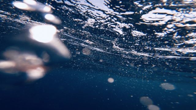 清廉潔白のイメージ写真