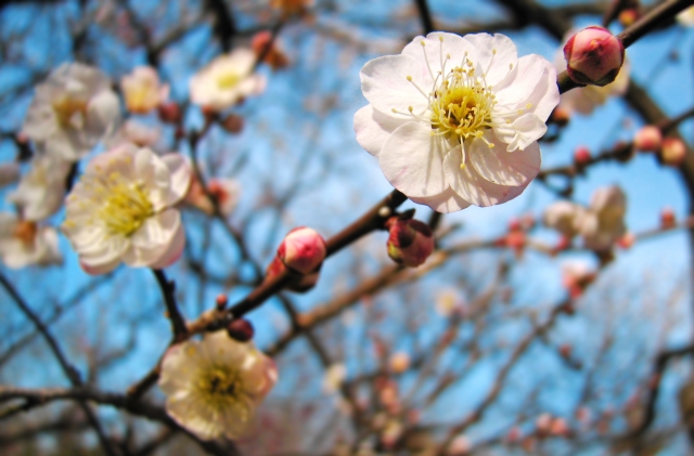 三寒四温のイメージ写真