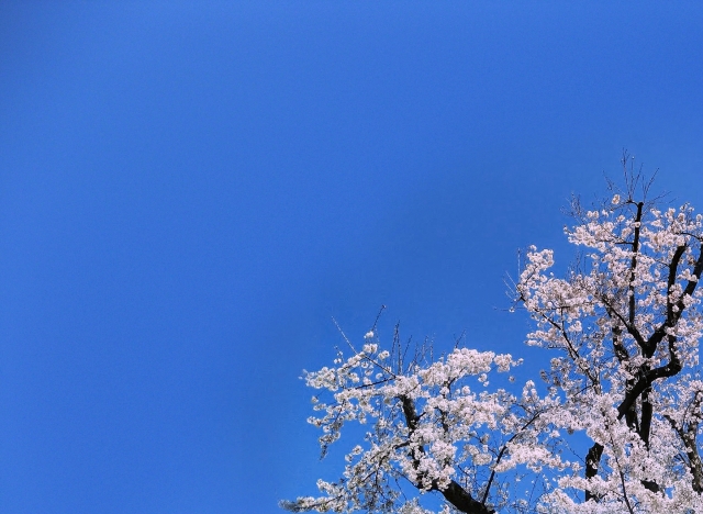 三寒四温のイメージ写真