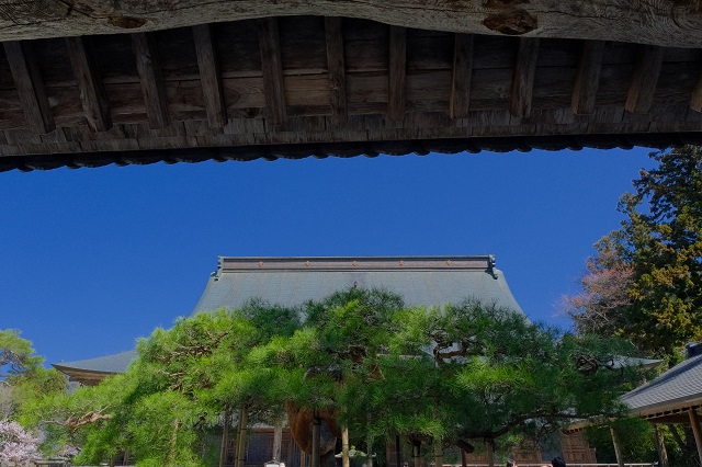 中尊寺の正門から中の境内を望んだ風景写真