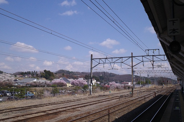 白河駅からqお城を望んだ桜の写真