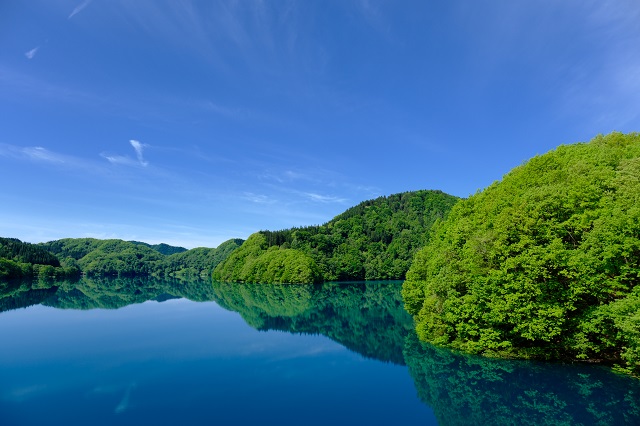 「秋扇湖」の春の風景写真