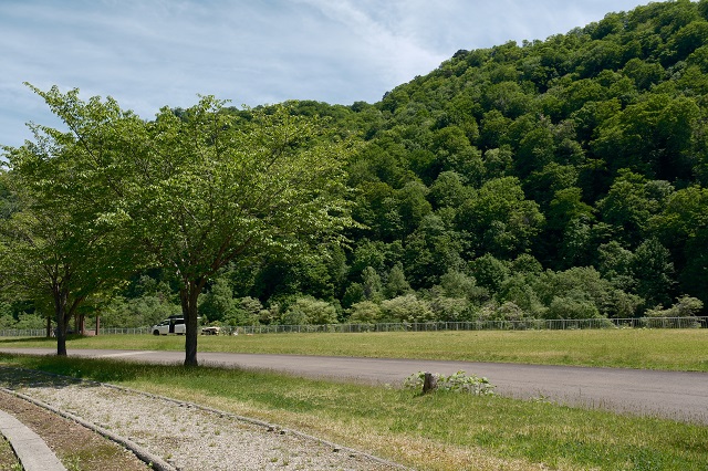 下流公園のキャンプ場