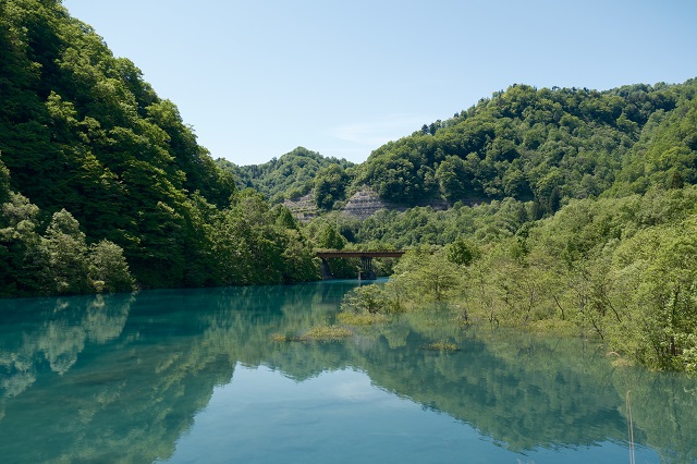 玉川ダム下流公園の風景写真