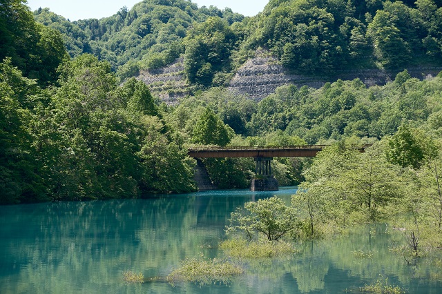 玉川ダム下流公園の風景写真