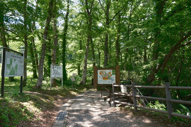 鳴子峡遊歩道の入り口の写真