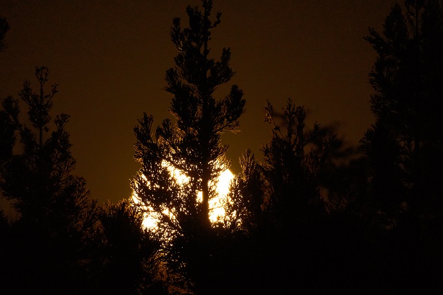 6月の満月・ストロベリームーンの写真