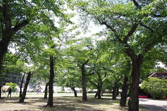 西公園の風景写真