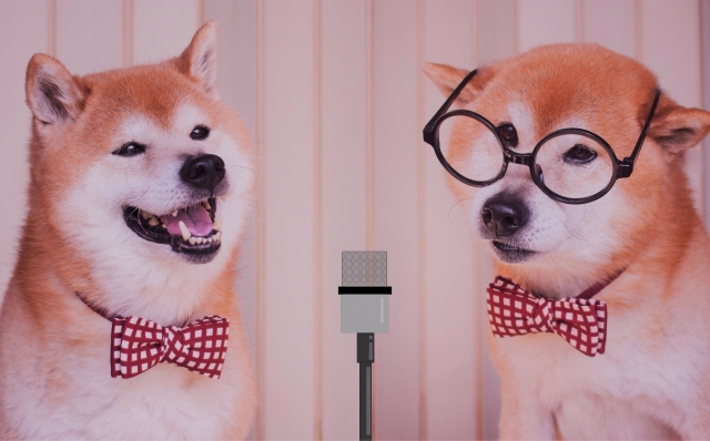 お笑いの天丼のイメージ写真